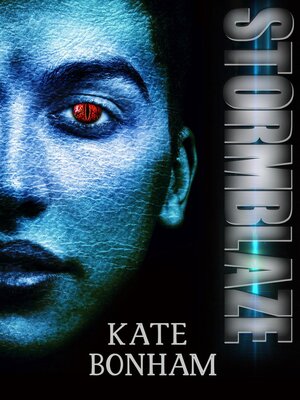 cover image of Stormblaze